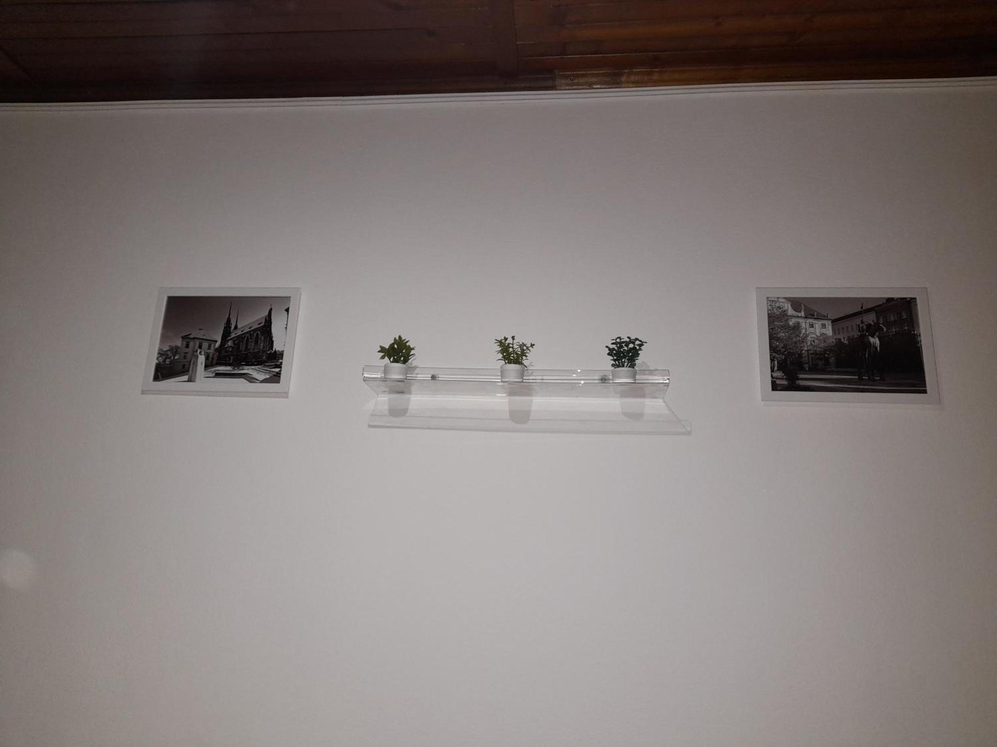 Apartments Vancurova 브르노 외부 사진